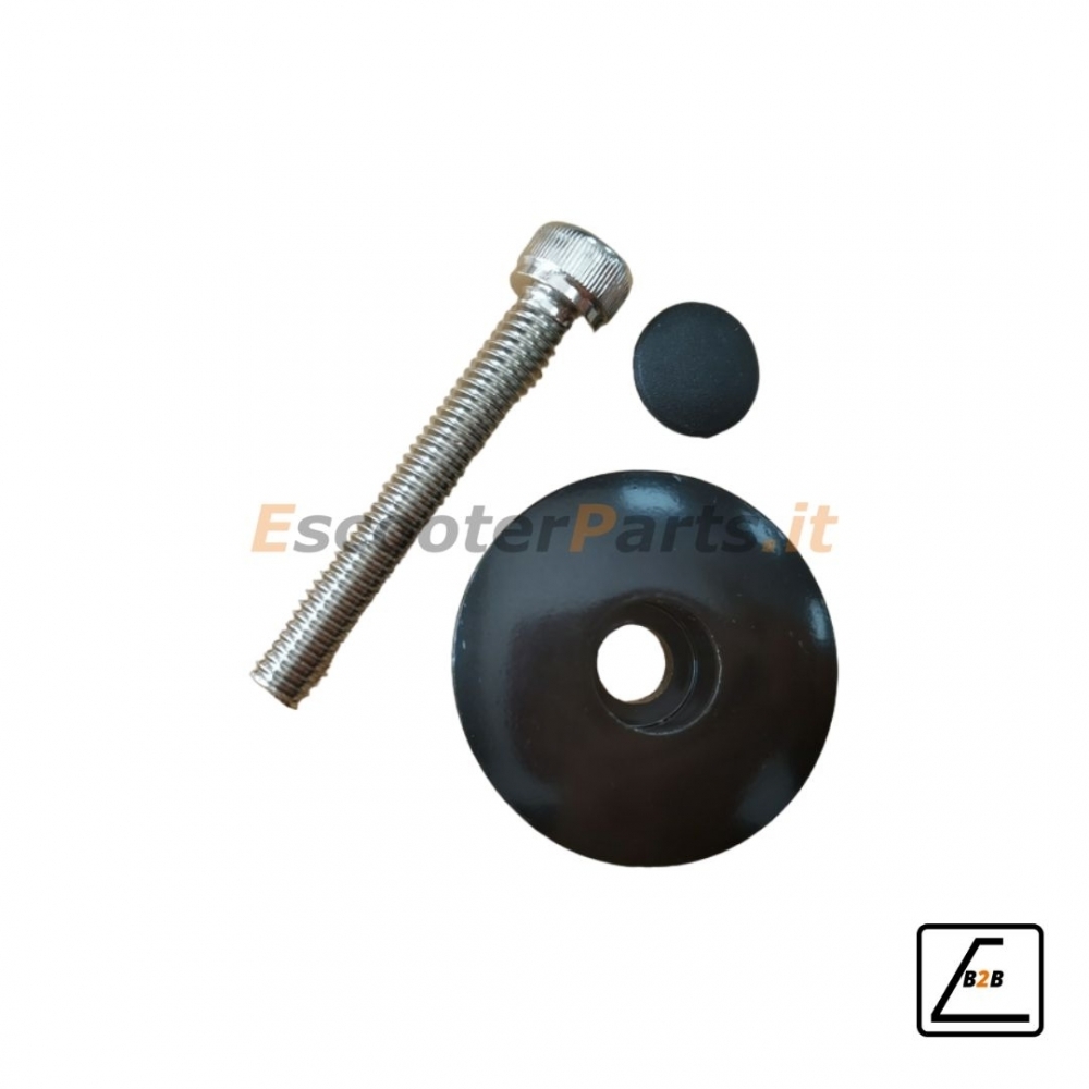 Set Bullone+Rondella Speciale Fissaggio Forcella Vivo S2/S2Max/V25/V30 e Simili