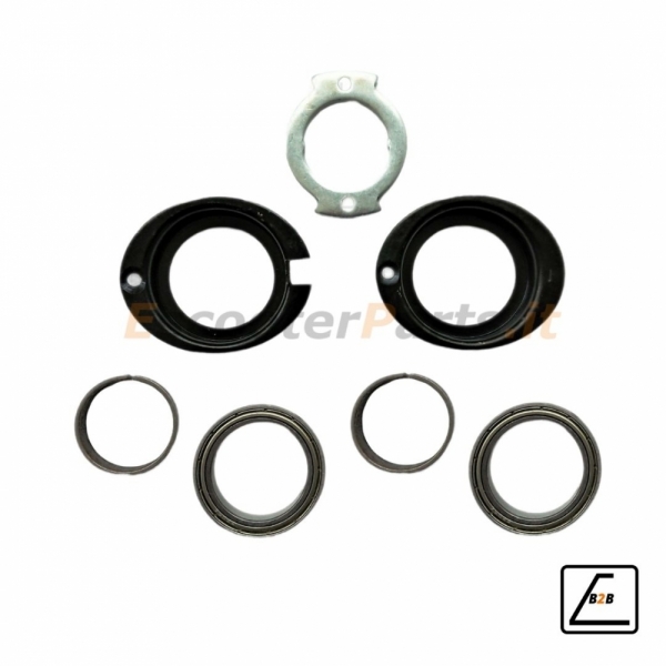 Kit Serie Sterzo con Cuscinetti e Boccole per Lexgo R9 - Nero