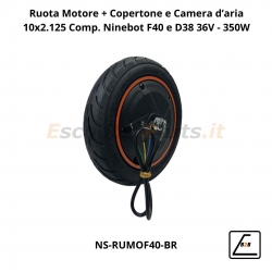 Ruota Motore Completa di Copertone 10x2.125 per Ninebot F40 e D38 36V - 350W