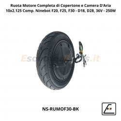 Ruota Motore Completa di Copertone 10x2.125 per Ninebot F25, F30, F40 36V - 300W