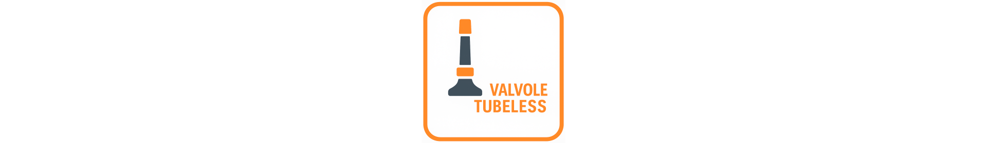 VALVOLE TUBELESS